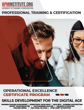 Operational Excellence Brochure