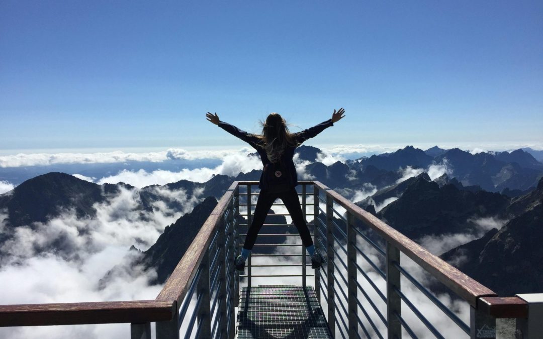 Maximizing ROI in BPM Projects: Measuring Success and Proving BPM’s Value