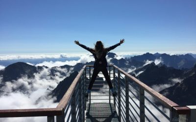 Maximizing ROI in BPM Projects: Measuring Success and Proving BPM’s Value